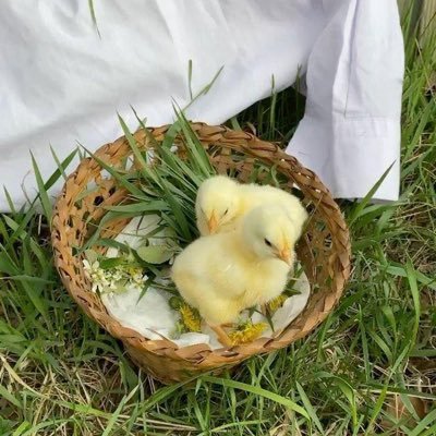 PelinnazBlbl's profile picture. Aganta Burina Burinata..