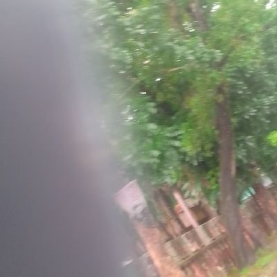 MahamudulM18241's profile picture. 
