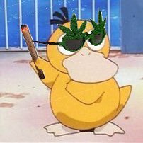 HighDvck's profile picture. 27 My likes are shit posting for no one, manga and Dr.Pepper.