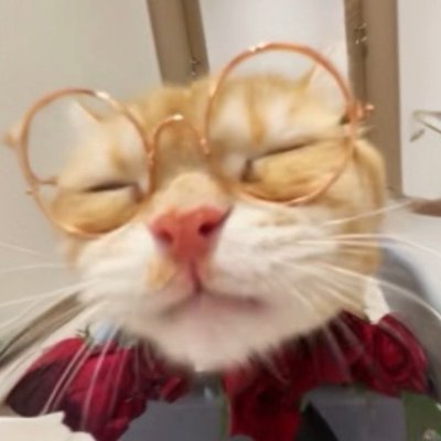 Creating Pixlli and rotrBLOCKS resourcepacks
Developer https://t.co/vawkzRZT88