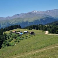 matnesli (@mtmtknsl) 's Twitter Profile