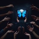 Wynell Donoghue - @donoghuek53 - Twitter