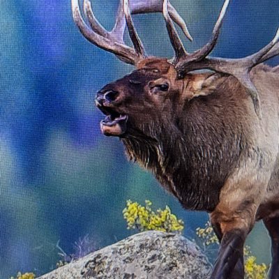 J_Hickey88's profile picture. 