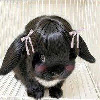 hanami 𓂃 ͜ ͜ ׅ◟𔘓 (@hhanaamii) 's Twitter Profile