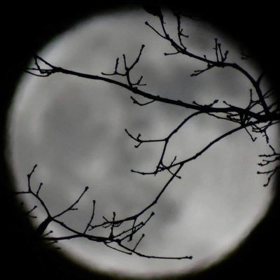 welshwitch78's profile picture. Just a nerdy woman that loves history, photography, music, animals and to laugh. Fan of OL. Neighborhood Turtle Wrangler. Life's short - embrace it.