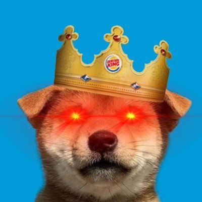 madeitback1000x's profile picture. SORA2 content creator. I'M ON TOP OF THE WORL