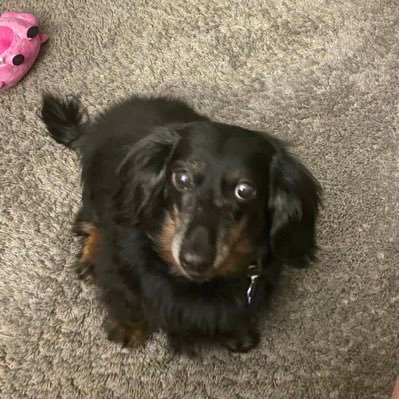 News editor @PB_News. Husband, dad of girls. Dog person. Seeks agent for my 1st fantasy novel; writing book 2. Unapologetic @astros fan. Devout comma opinions.