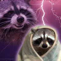 Late night wanderer (@latenightwand) 's Twitter Profile