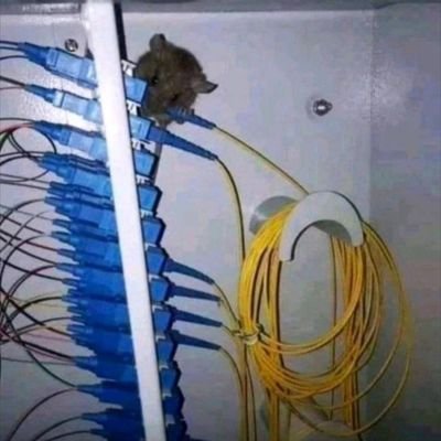 Cybersecurity enthusiast || Aspiring Network Engineer || Cloud Computing... Security