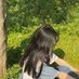 Ripe (@ripe735) Twitter profile photo Ripe (@ripe735) Twitter profile photo
