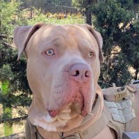 Ricardo Gallo (@ricardo080985) 's Twitter Profile Photo