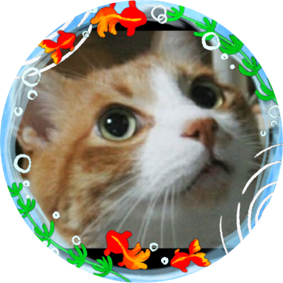 Sayaさんのプロフィール画像
