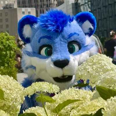 @TybaricTiger