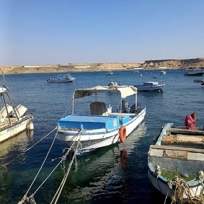 سعودي قبيلي كريم وحنون ويبحث عن عروسة قبيلية
سعودية أو خليجية .