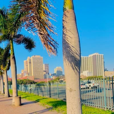 DaReticentboy's profile picture. 