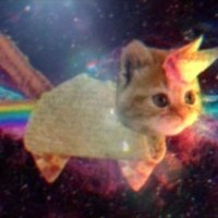 Ann Apple (@annapple666) 's Twitter Profile