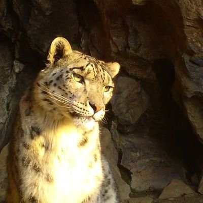 BilbayWerTa's profile picture. 