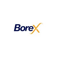 Borex Solaris (@borexsolaris) 's Twitter Profile