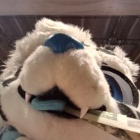 Floofy_Leo (@leofloofy) 's Twitter Profile Photo