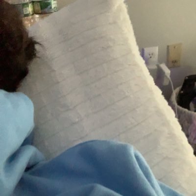 zqqs16's profile picture. 