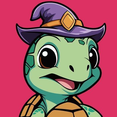 lilturtlenft's profile picture. Memecoin and NFT collections