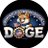 (news) DOGE