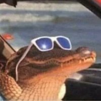 rex🇪🇸🇷🇴☦️ (@clauconstantin) 's Twitter Profile Photo