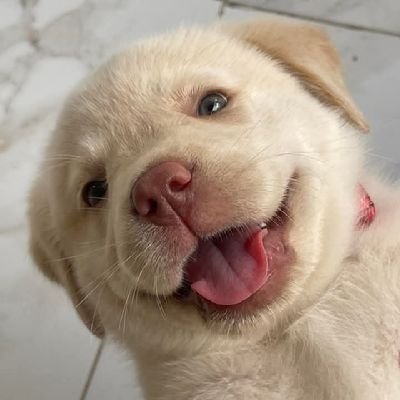 Beam_3112's profile picture. 