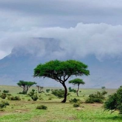 ماتجده هنا من حروف مبعثرة بقلمي..
شاعر لايكتب القصيدة عبثاً..
حياته ألوان طيف وفضاءه أوسع من حد النظر....
دائما يعانق السحاب⛈️💚