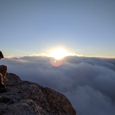algoritmo_xy's profile picture. Raíces españolas y algo más.