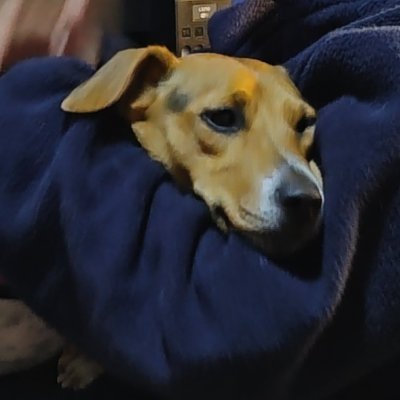 Mel_jamayca's profile picture. 