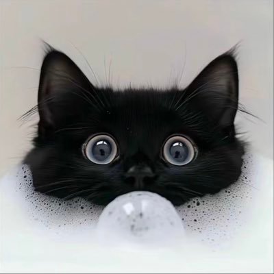 teamwangzoe1226's profile picture. 