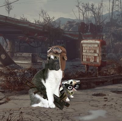 Give Fido a Gun. Give Mr. Whiskers a Switchblade. They're gonna survive this wild wasteland, and I'll make sure of it. 🪖🐶☢️🐱🔪