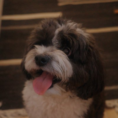 nomadnick14's profile picture. 