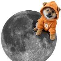 $DOG go to the moon (@kelseyv53899) 's Twitter Profile Photo $DOG go to the moon (@kelseyv53899) 's Twitter Profile Photo