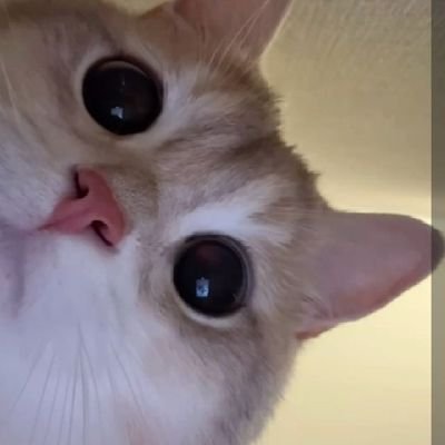 aditich__24's profile picture. zero survival instinct