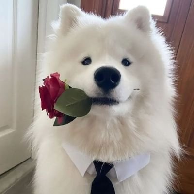 papeee6969 Profile Picture