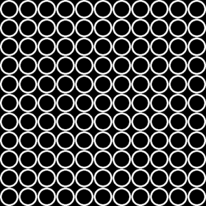 shaun_xii's profile picture. 