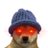 Coldest Pup avatar