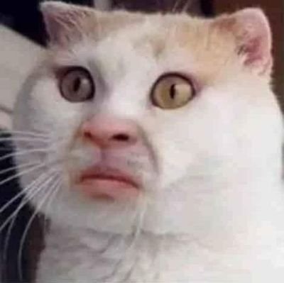 fa acc | hello don't reroll me because I just changed my username from @.Easy0xunipay to @.easy0x0 | La ilaha illa anta subhanaka inni kuntu minaz-zalimin