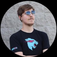 Mr Beast (@mrbeast064) 's Twitter Profile