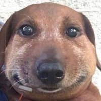 masi (@jhinargentinoo) 's Twitter Profile