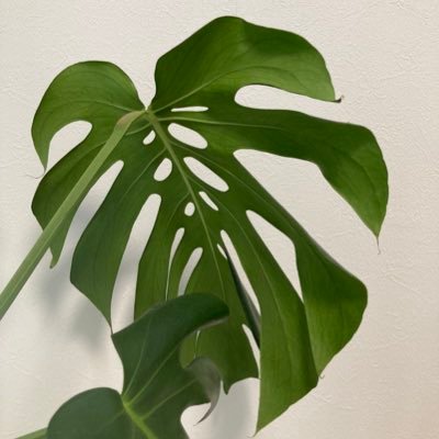 事業投資、株式投資、個人事業主 時間持ちになるまでの道のりを書いていこうと思います! 宜しくお願い致します🙇 アイデアを形に