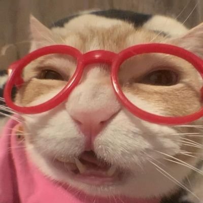 mads 🐾さんのプロフィール画像