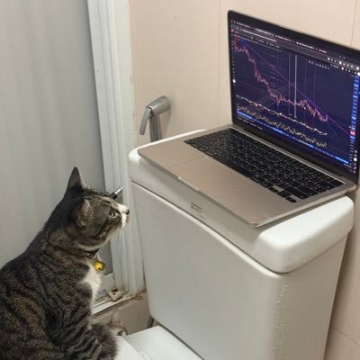 PinyapatSJ's profile picture. 