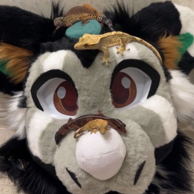 Simon_dutchie's profile picture. 19/🏳️‍⚧️/ he/him / 🇬🇧🇨🇦 / 💀Ghostsoap🧼/ forever you cowboy❤️🧼/ ‼️Minors DNI with NSFW‼️/ Banner by peaceskyy