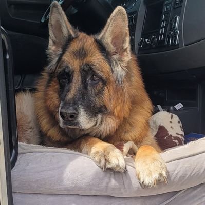 cbrannon59's profile picture. 