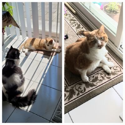 FazS18's profile picture. Injustice will come to you, when you don't stand against it for others.