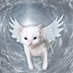 묘조교 (@_myoart) Twitter profile photo 묘조교 (@_myoart) Twitter profile photo