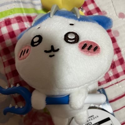 趣味かも😆キャラクター好き☺️ハチワレちゃん推し❤️カニちゃんとうさぎも好き🐰マイメロ、シナモン、モフサンドも好き♡30代
